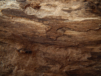 Surface level of old wooden plank