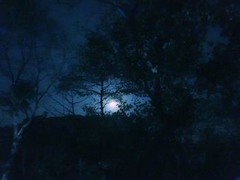 Low angle view of silhouette trees against sky at night
