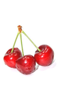 Close-up of red fruit over white background