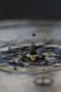 Close-up of water drop