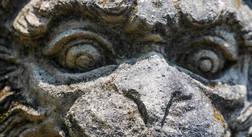 Close-up of statue