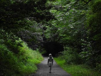 Rear view of woman walking on footpath in forest