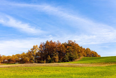 Trees on field against sky during autumn