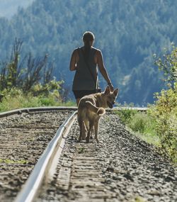 Rear view of a woman with dog