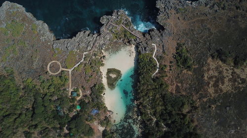 High angle view of rocks by trees