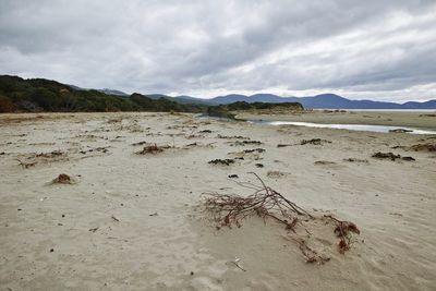 Scenic view of beach against sky