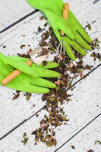 High angle view of leaves on table