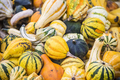 Full frame shot of pumpkins for sale at market stall