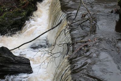 Close-up of waterfall in forest