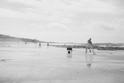 People on beach against sky