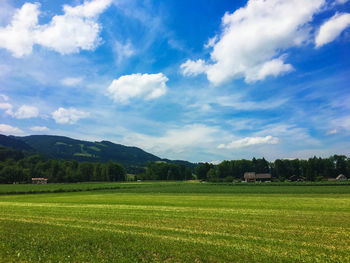 Scenic view of field against sky