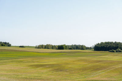 Scenic view of field against clear sky