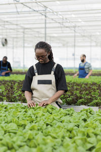 Portrait of senior man working in greenhouse