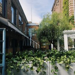 Plants and trees by building against sky