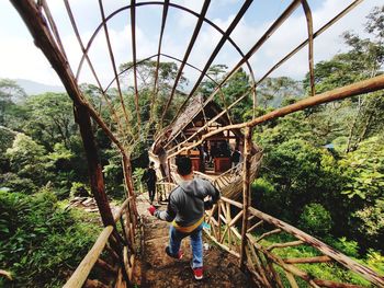 Rear view of man standing on footbridge in forest