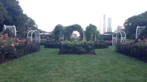 View of park against clear sky