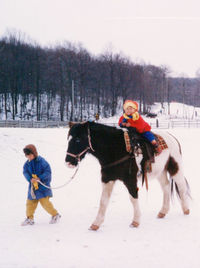 Full length of a horse on snow covered field