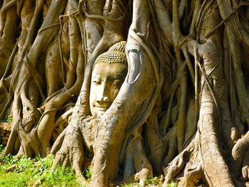 Statue in park