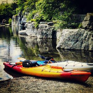 Boats moored on rock by trees