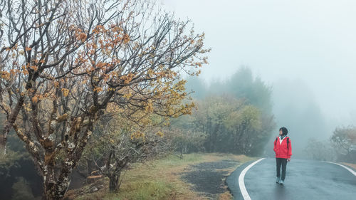 Rear view of woman walking on road