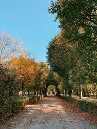 Footpath amidst trees against clear sky during autumn