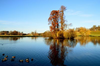 Scenic view of lake by trees against sky