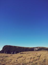 Scenic view of landscape against clear blue sky