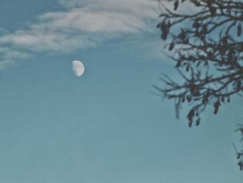Close-up of moon in sky