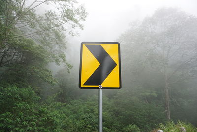 Road sign by trees in forest