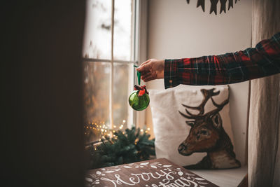 Cropped hand holding decoration at home