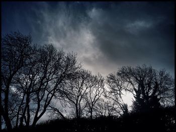 Low angle view of silhouette bare trees against sky