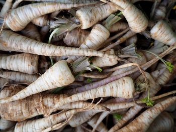 Full frame shot of parsley roots for sale in market