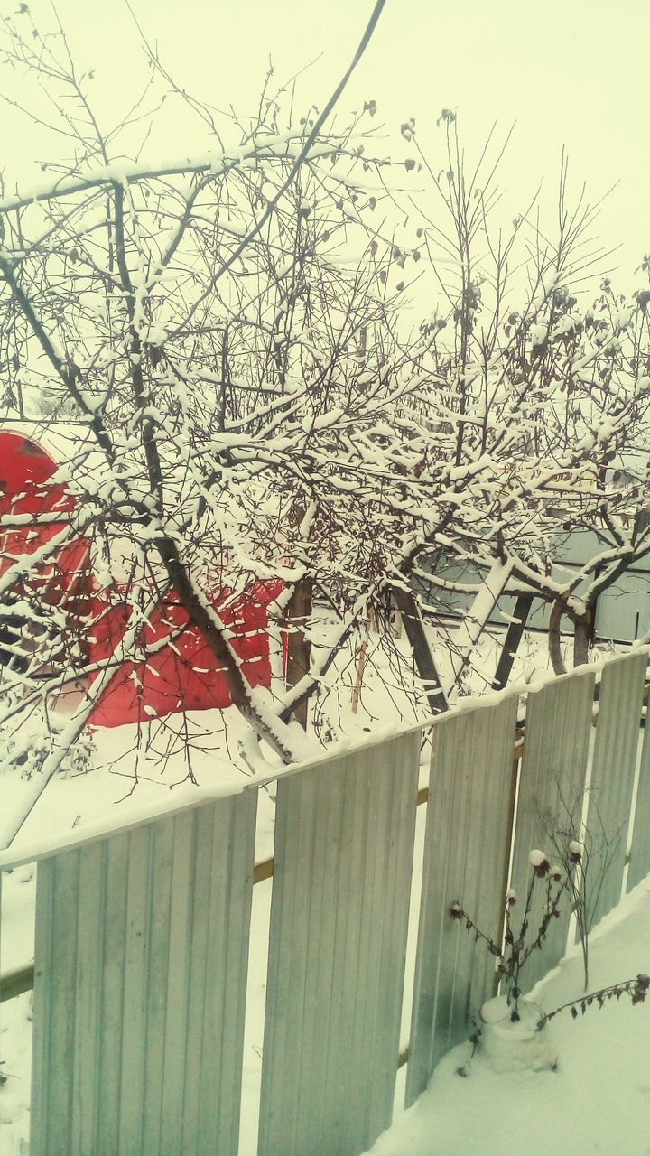 tree, snow, built structure, building exterior, architecture, winter, outdoors, no people, day, cold temperature, branch, nature, bare tree, beauty in nature, sky