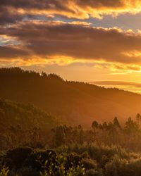 Scenic view of landscape against sky during sunset