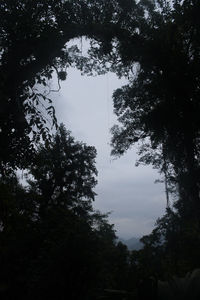 Low angle view of silhouette trees against sky