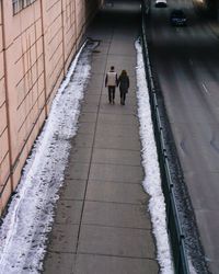 High angle view of dog walking in snow