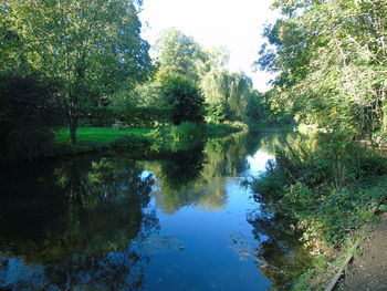 Reflection of trees in calm lake against clear sky