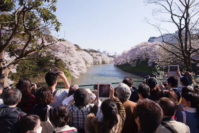 Rear view of people photographing cherry blossom trees by canal from footbridge