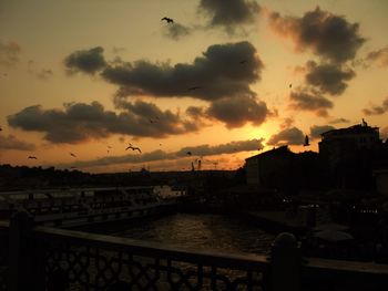 Birds flying over river in city against sky during sunset