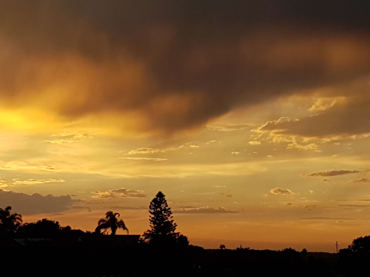 SILHOUETTE OF TREE AGAINST CLOUDY SKY