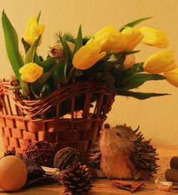 Close-up of flowers in vase