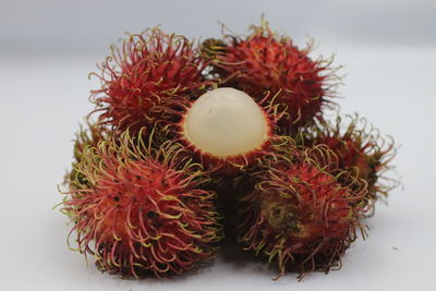 Close-up of fruit on white background