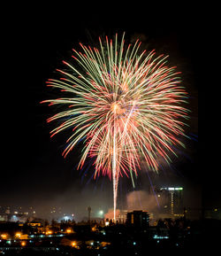 Firework display in sky at night