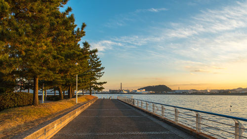 Scenic view of trees against sky during sunset