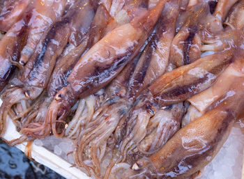 High angle view of fish for sale in market