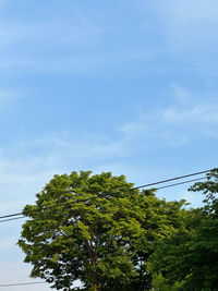sky