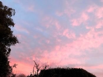Low angle view of silhouette trees against romantic sky