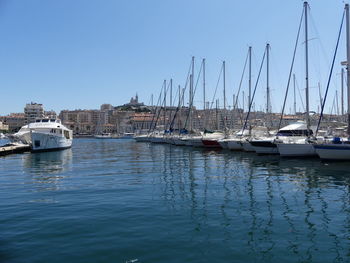 Sailboats moored in harbor