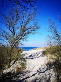 Scenic view of sea against clear blue sky