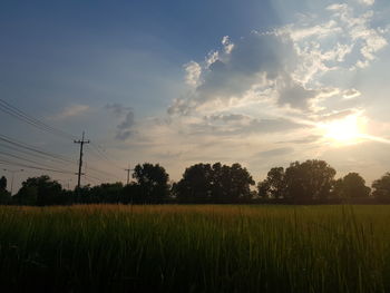 Scenic view of field against sky during sunset